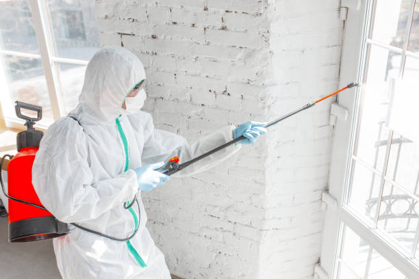 Why You Should Choose Our Mold Remediation Services in Xenia, OH