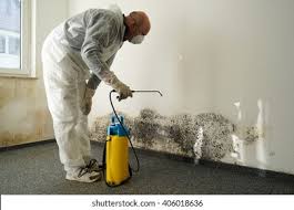 Best Mold Odor Removal Services in Xenia, OH